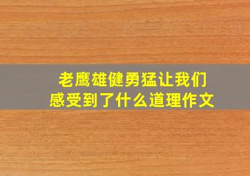 老鹰雄健勇猛让我们感受到了什么道理作文