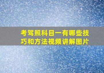 考驾照科目一有哪些技巧和方法视频讲解图片