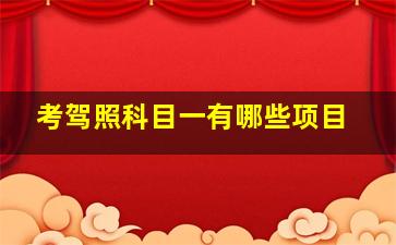 考驾照科目一有哪些项目