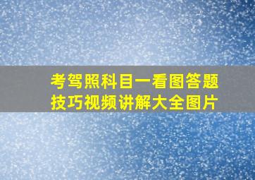 考驾照科目一看图答题技巧视频讲解大全图片