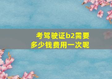 考驾驶证b2需要多少钱费用一次呢