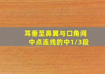 耳垂至鼻翼与口角间中点连线的中1/3段