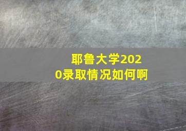 耶鲁大学2020录取情况如何啊