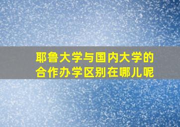 耶鲁大学与国内大学的合作办学区别在哪儿呢