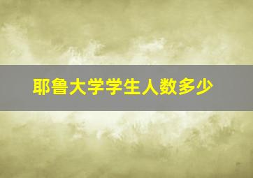 耶鲁大学学生人数多少