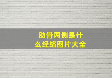 肋骨两侧是什么经络图片大全