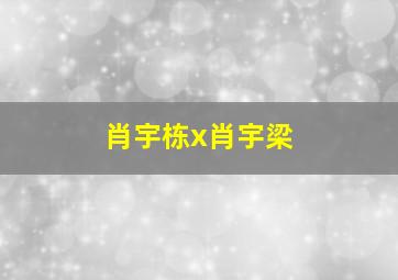 肖宇栋x肖宇梁