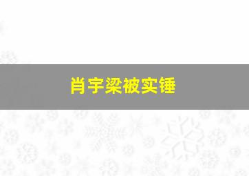 肖宇梁被实锤