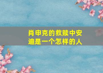 肖申克的救赎中安迪是一个怎样的人