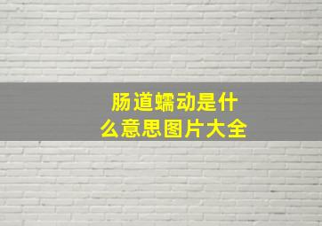 肠道蠕动是什么意思图片大全