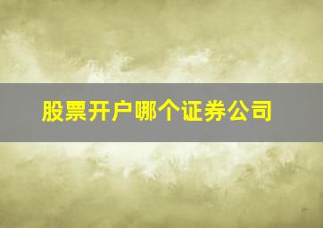 股票开户哪个证券公司