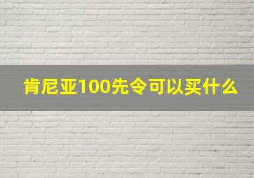 肯尼亚100先令可以买什么