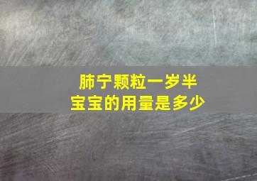 肺宁颗粒一岁半宝宝的用量是多少