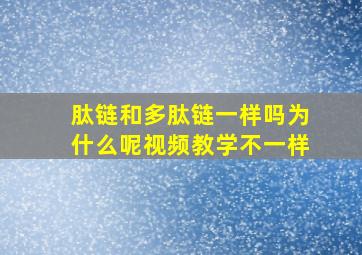 肽链和多肽链一样吗为什么呢视频教学不一样