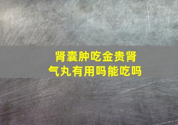 肾囊肿吃金贵肾气丸有用吗能吃吗