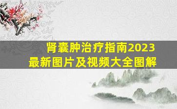 肾囊肿治疗指南2023最新图片及视频大全图解