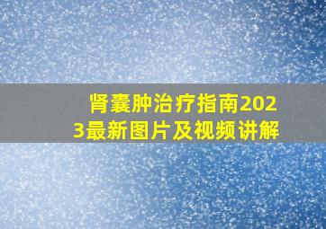 肾囊肿治疗指南2023最新图片及视频讲解