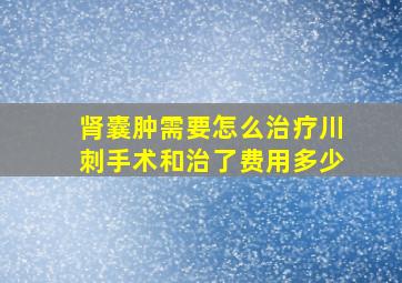 肾囊肿需要怎么治疗川刺手术和治了费用多少