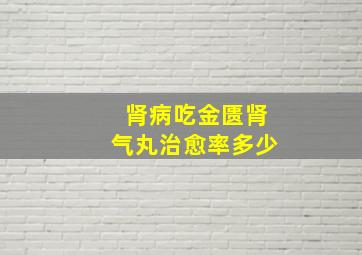 肾病吃金匮肾气丸治愈率多少