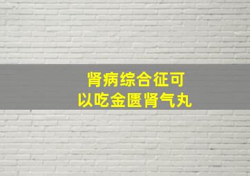 肾病综合征可以吃金匮肾气丸