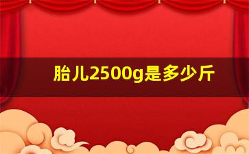 胎儿2500g是多少斤