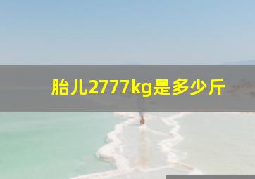 胎儿2777kg是多少斤