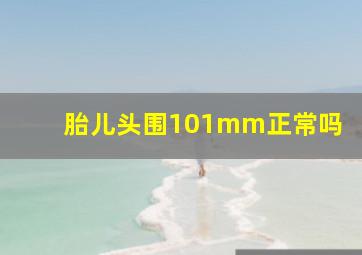 胎儿头围101mm正常吗