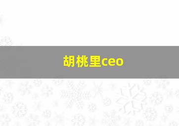 胡桃里ceo