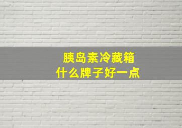 胰岛素冷藏箱什么牌子好一点