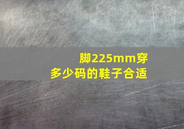 脚225mm穿多少码的鞋子合适