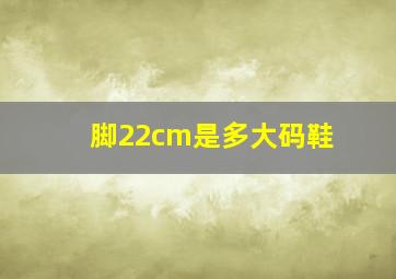 脚22cm是多大码鞋