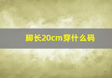 脚长20cm穿什么码