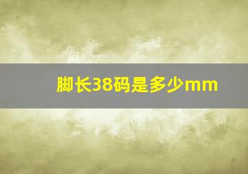 脚长38码是多少mm