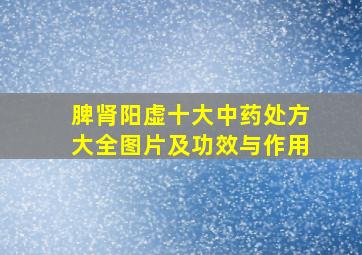 脾肾阳虚十大中药处方大全图片及功效与作用