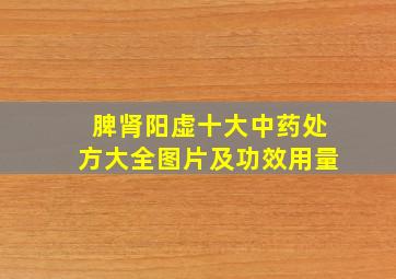 脾肾阳虚十大中药处方大全图片及功效用量