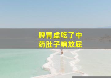 脾胃虚吃了中药肚子响放屁