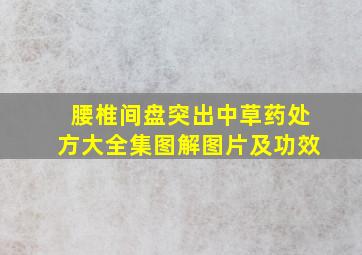 腰椎间盘突出中草药处方大全集图解图片及功效