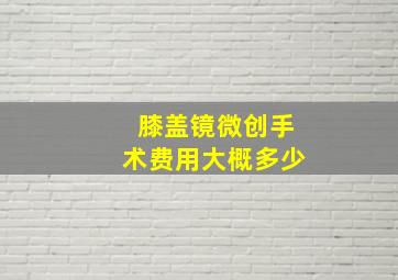 膝盖镜微创手术费用大概多少