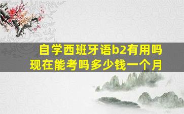 自学西班牙语b2有用吗现在能考吗多少钱一个月