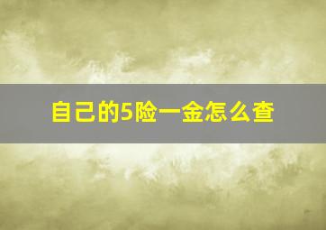 自己的5险一金怎么查