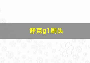 舒克g1刷头