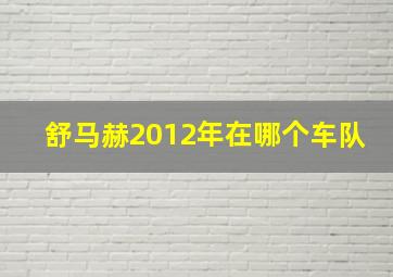 舒马赫2012年在哪个车队