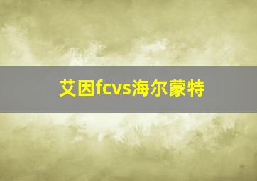 艾因fcvs海尔蒙特