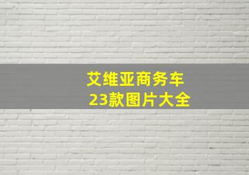 艾维亚商务车23款图片大全