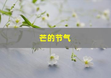 芒的节气