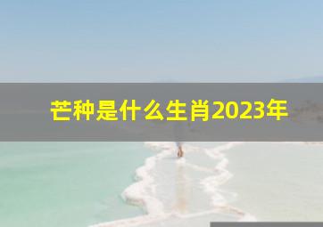 芒种是什么生肖2023年