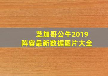 芝加哥公牛2019阵容最新数据图片大全