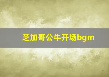 芝加哥公牛开场bgm