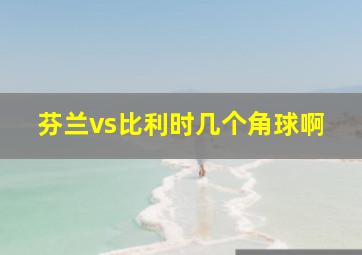 芬兰vs比利时几个角球啊