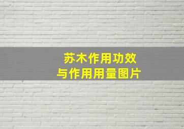 苏木作用功效与作用用量图片